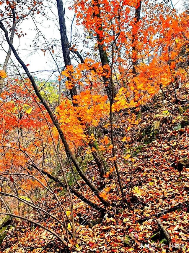 辽宁本溪旅游打卡攻略 | 枫叶之都的浪漫之旅
