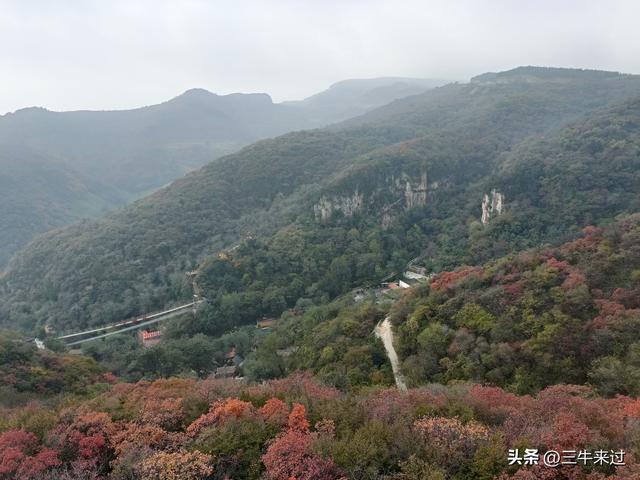 无为在歧路，柿岩之红叶