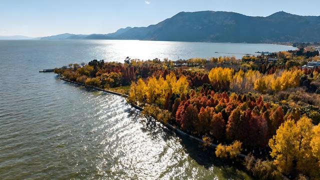 丹枫醉染云间岫，银杏金铺滇海秋 —— 昆明清秋觅胜长歌