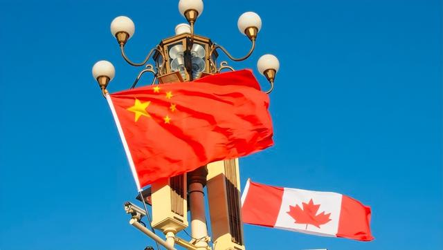 起风了！加拿大对华改口，禁止与中国签协定，65万吨芸苔子白买？