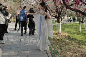 西安青龙寺樱花太美了！游客去晚了没门票，附近新开了樱花美食街图片