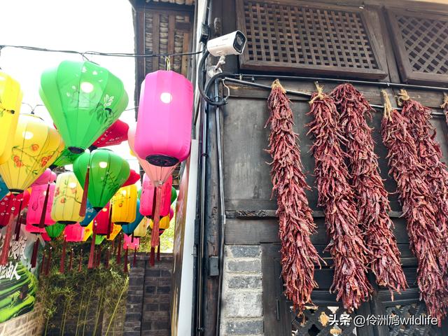 四川行(75)广汉②金雁湖公园·黑塔街·龙居寺