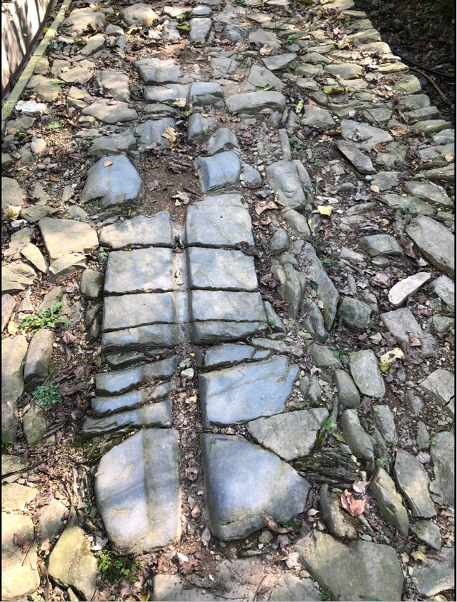 九江文史 | 古道“溪”风瘦马 小桥流水“商”家