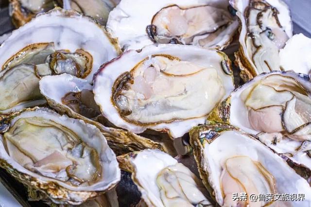 宁海：藏于宁波的宝藏小城，承包江南冬日的所有浪漫