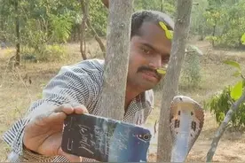 外国人少不是没有原因的，那些作死名场面。图片