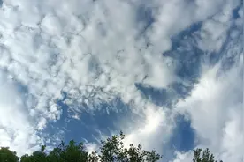 临聘代课教师工资也应跟绩效工资挂钩，这所公办学校做法值得借鉴图片