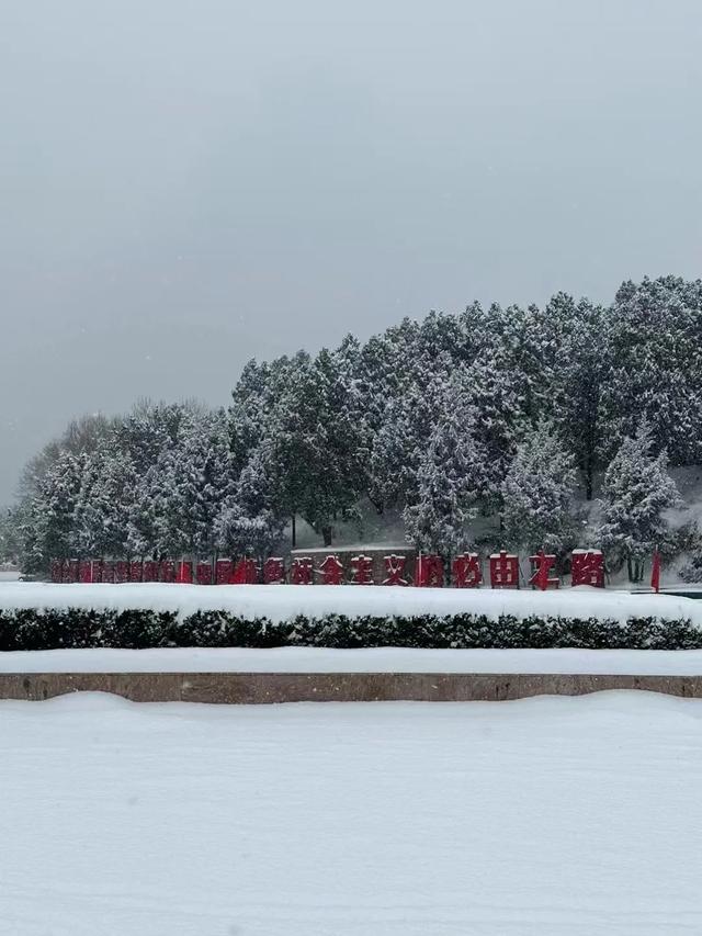 收好这份石家庄“雪景打卡地图”！走起→