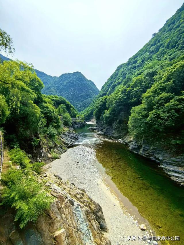 进山纳凉来黑河国家森林公园，让你逃离酷暑，一键降温！