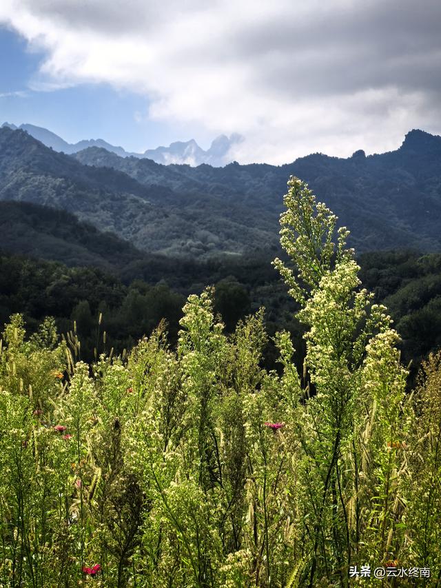 蓝田的美，美在隐秘：这是山边一条少有人走的路，我却走过很多次