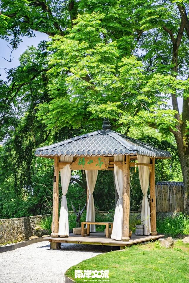 离不开的南岸 | 我在262.41平方公里的“家”里，一觉醒来！