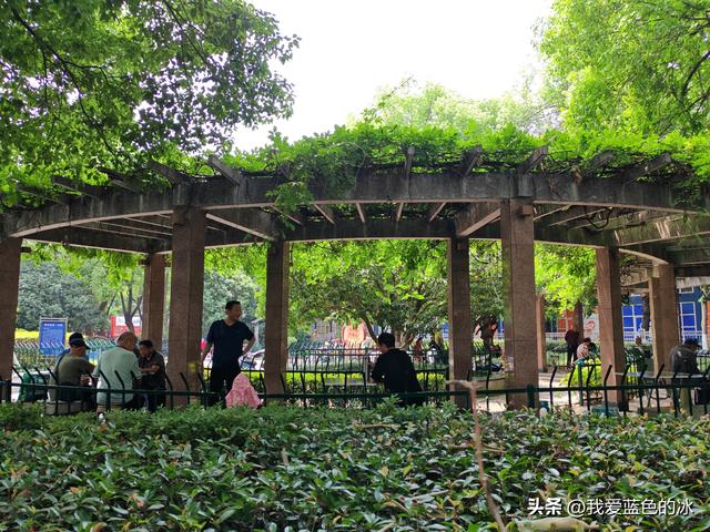 以吃的名义南京一日游：南京大牌档的午餐，四个招牌菜点了三样