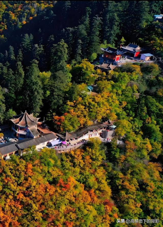 寻幽兴隆山：陇右第一名山的秋日私语