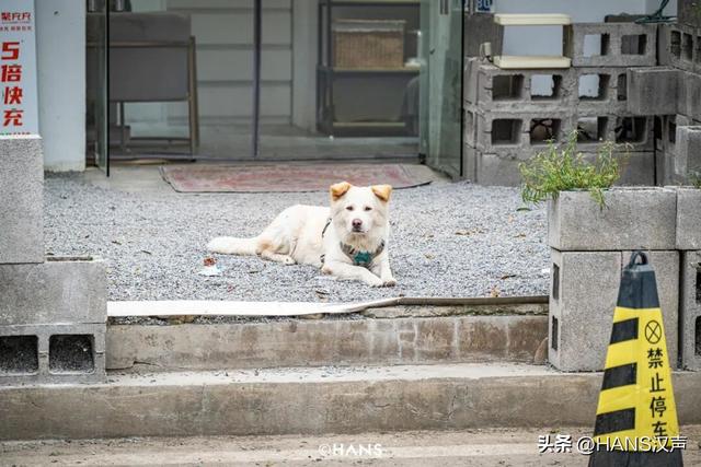 武汉最好逛的城中村，在岛上