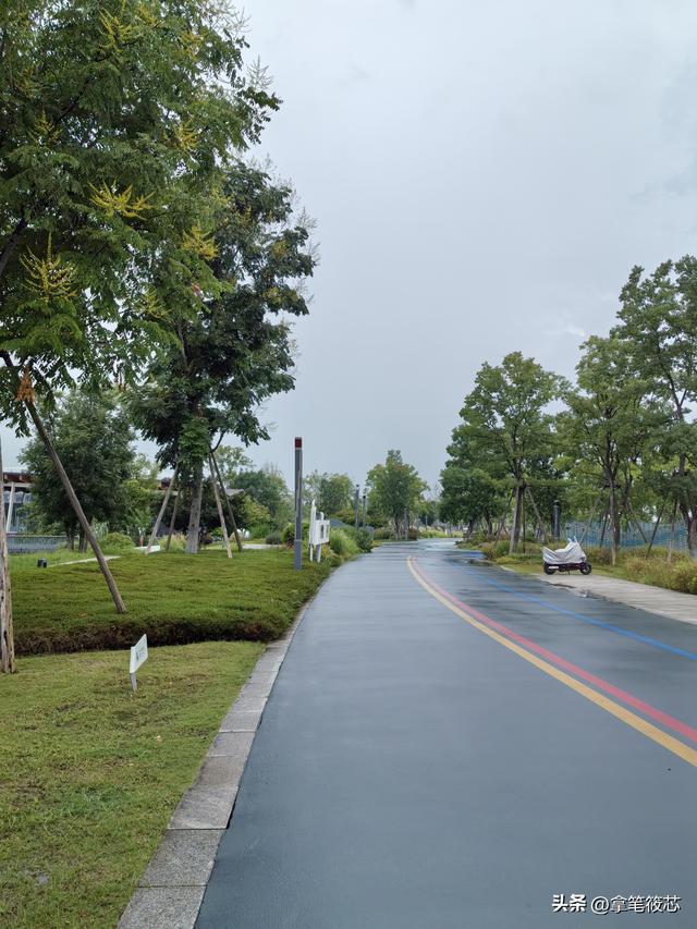 雨趣｜雨中的东安湖