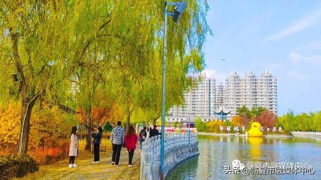 飞阅花都④丨漫步东郊公园 邂逅秋日风光 静享“天然氧吧”