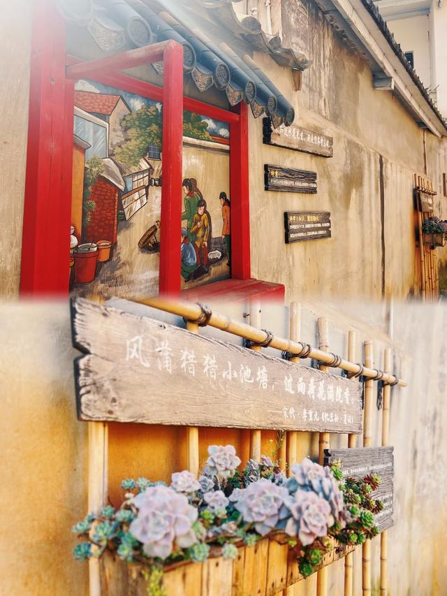 百年花巷古村，品红梨，捏瓦猫，偷闲半日