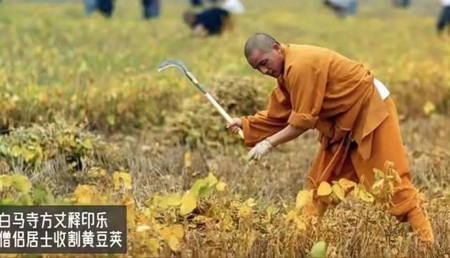 改称呼仅12天，佛教协会对释永信再下重手，这3人的命运从此改变