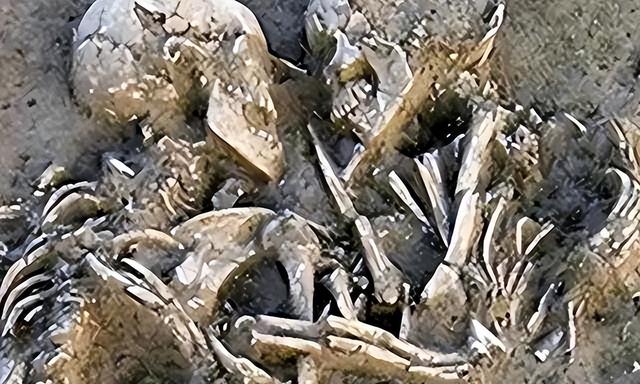 伊朗一对情侣，躲进谷仓中拥吻，被人发现时，已经吻了2800年