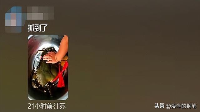 “锅盖”那么大的螃蟹？福建男子野外钓鱼遇到“巨型蟹”！
