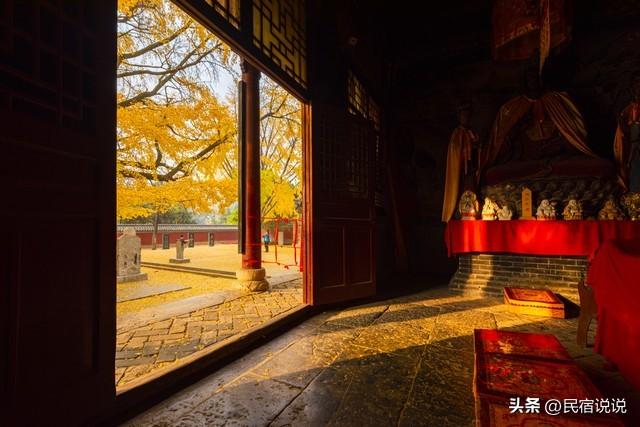 十大银杏观赏地之一的山东浮来山真的黄了！