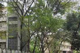我们家住3楼，入住十年太崩溃了，想把房子卖了换10楼以上的楼层图片