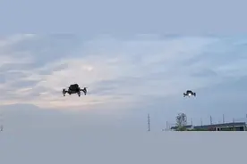 西工大又有新突破！图片