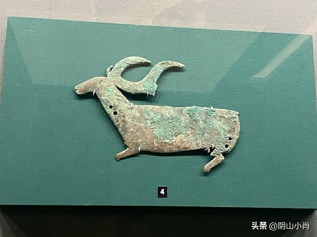 参观内蒙古博物院新馆