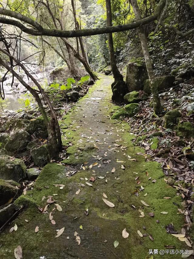 小沧畲乡，藏在福州角落的秘境