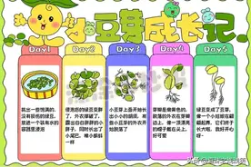 植物生长观察日记手抄报，家长收藏可参考！图片