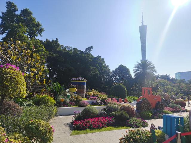 花城看花看灯饰