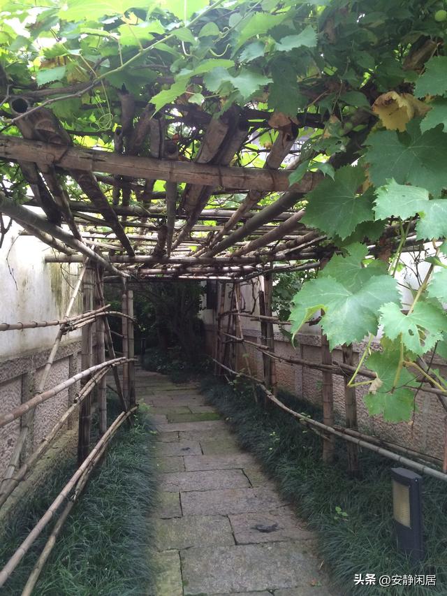 上海好久没下雨了，想起那些细雨飘洒的日子——细雨中大禹古村落