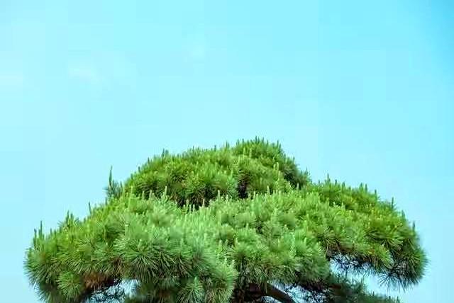 两性关系：男人过65岁、基本上都会有如下现状，具体表现是这样的