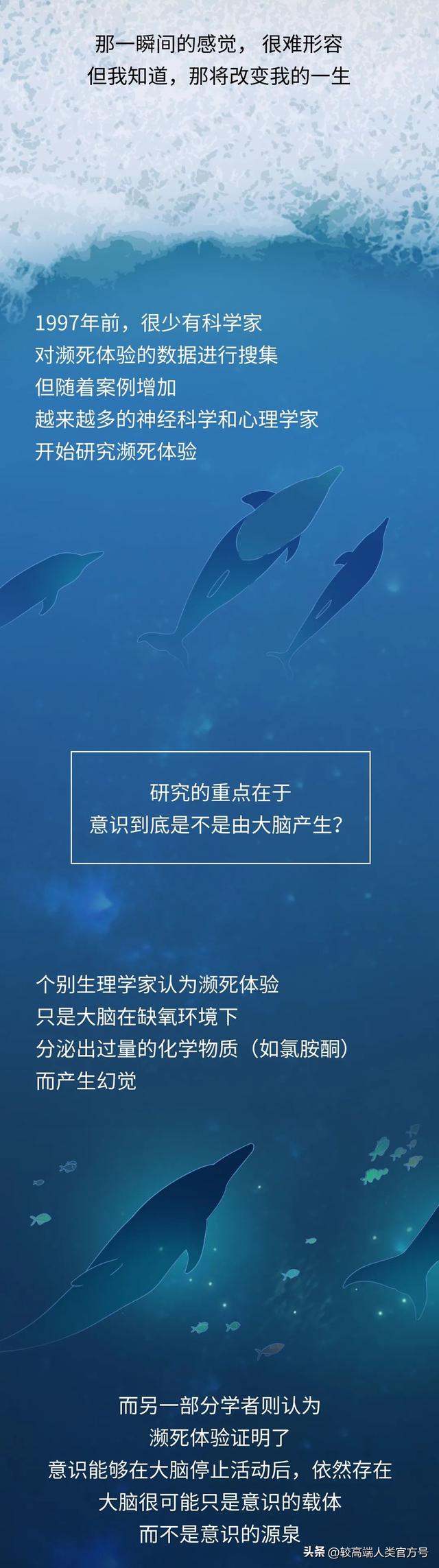 死亡前的30秒，人会看见什么？