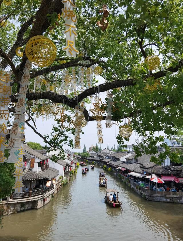 我是上海人，去了奉贤和金山，直言不讳：奉贤跟金山天差地别