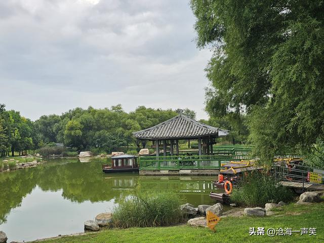 苑城文化公园，桥水相依，荷叶飘香，大道至简，银杏叶子渐黄