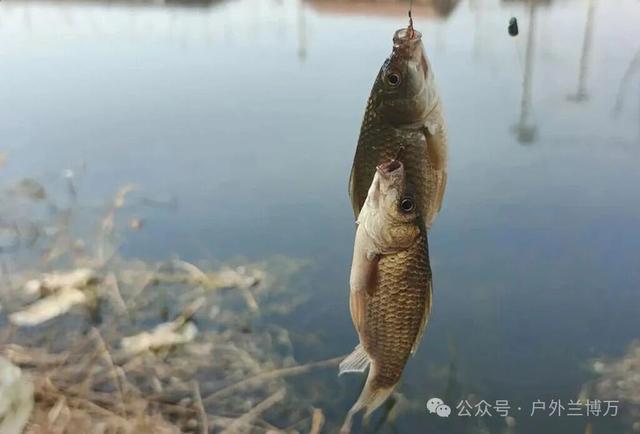 新手钓友必学10大钓鱼技巧！让你快速成为老钓友，从此钓鱼不求人