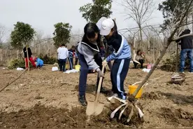 西安高新区第十七小学开展植树节主题教育实践活动图片