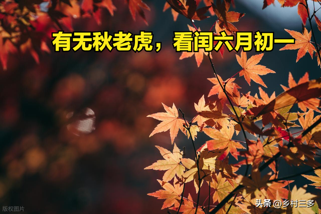 “有无秋老虎，看闰六月初一”，今日闰六月初一，今年秋天很热吗