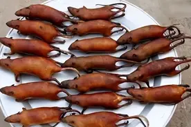 越南人酷爱吃鼠肉，一年吃掉2亿只，为什么如此奇葩？图片