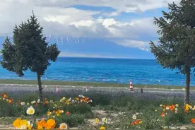 远房亲戚住我家赖着不走，母亲一个计谋，他连夜搬走，真神了图片