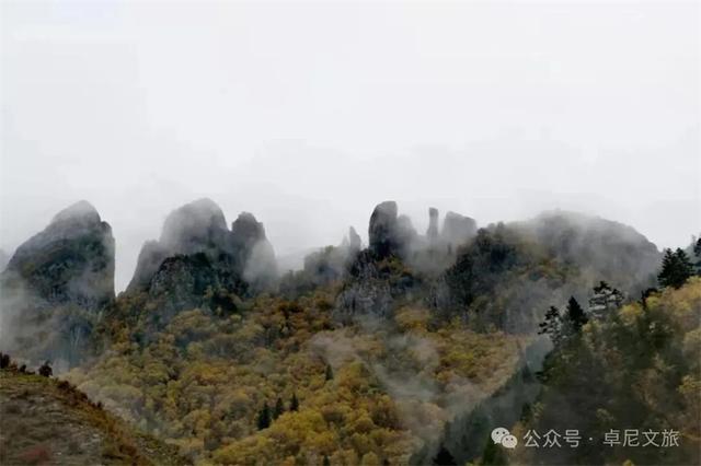 初秋大峪沟，人间惊鸿宴