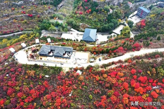 红了！淄博这8处绝美赏秋宝地，藏着浓墨重彩的秋天！