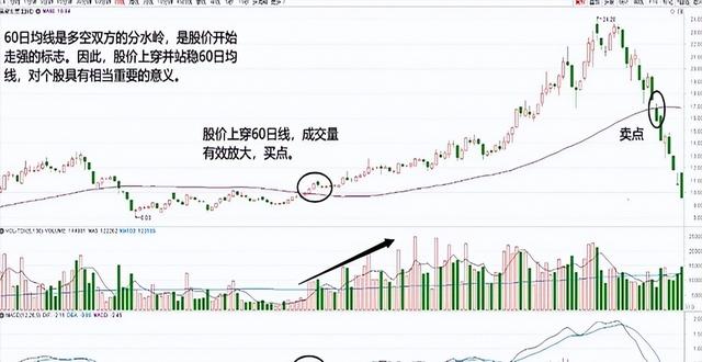 一位北京金融女博士直言：如果手中有20万，建议死啃这两条线！