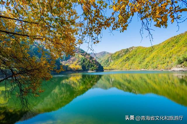 秋色漫卷海东，一场山水林间的浪漫叙事