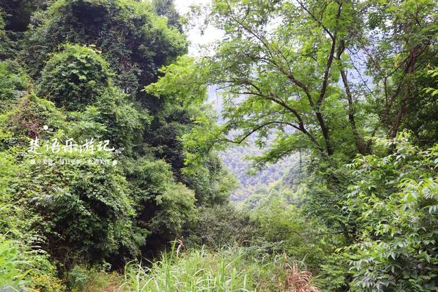 宁波余姚的孙郎埠村，藏于山岙犹如桃源秘境，但清潭浅瀑美不胜收