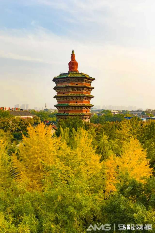 随手一拍都是大片！安阳深秋限定美景已上线→