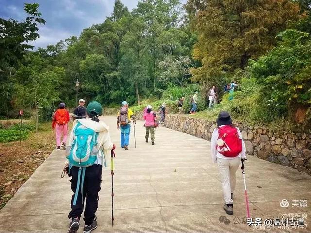 秋风起，浙江这条绝美海岛风光徒步穿越线路，可以安排了！