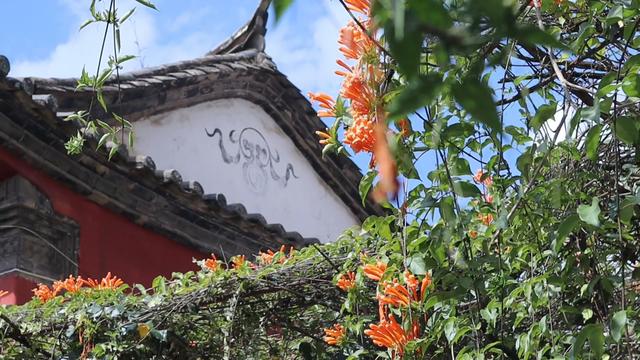 昆明动车直达，又一座小众的千年古镇，四季如春，古迹遍布