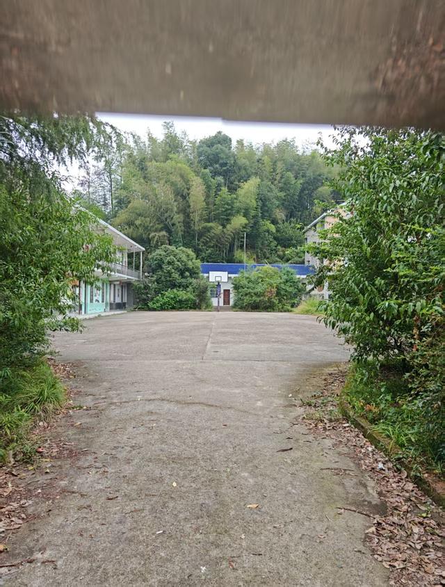 乙巳秋日湘乡金薮游赋