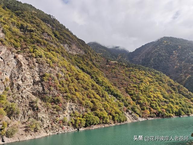 米亚罗彩林季，观赏一日游！